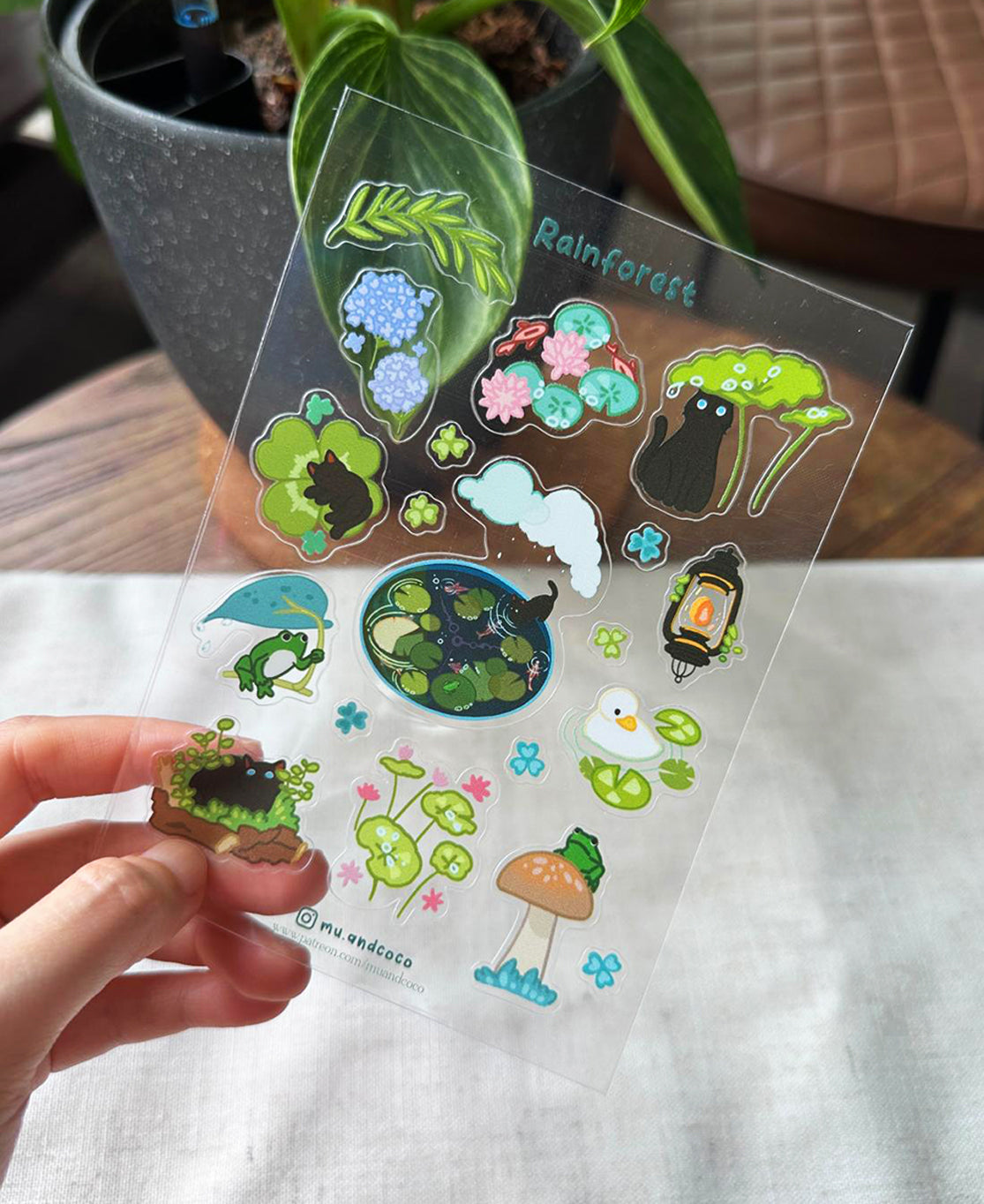 Sticker sheet - Rainforest (Transparent)
